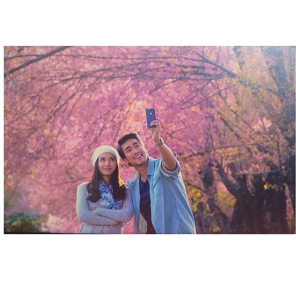 ดอกนางพญาเสือโคร่ง ดอกนางพญาเสือโคร่ง