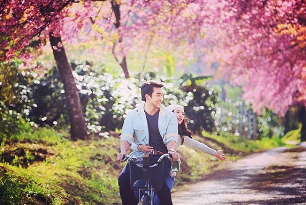ดอกนางพญาเสือโคร่ง ดอกนางพญาเสือโคร่ง