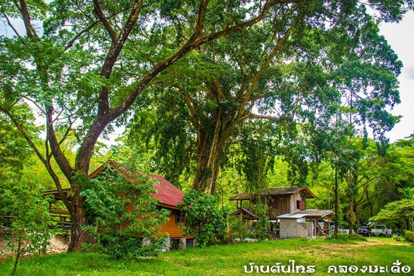 ที่พักคลองมะเดื่อ ที่พักคลองมะเดื่อ