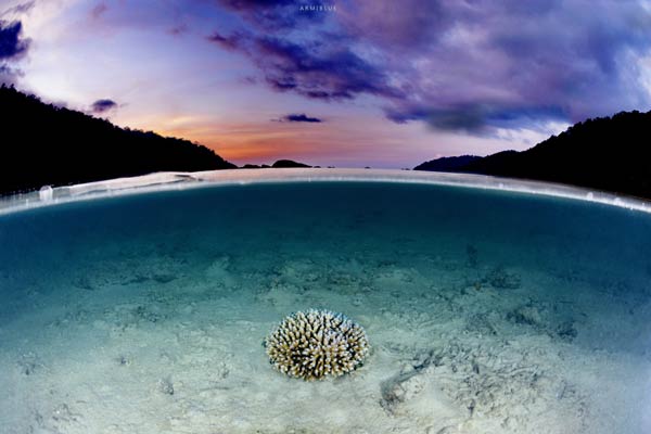 หมู่เกาะสุรินทร์ หมู่เกาะสุรินทร์