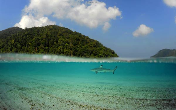 หมู่เกาะสุรินทร์ หมู่เกาะสุรินทร์