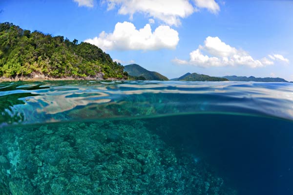 หมู่เกาะสุรินทร์ หมู่เกาะสุรินทร์