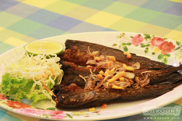 ร้านอาหารพัทลุง ร้านอาหารพัทลุง