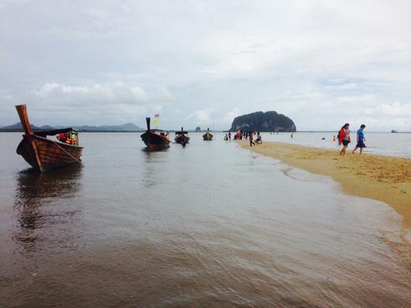 สันหลังมังกรตรัง สันหลังมังกรตรัง
