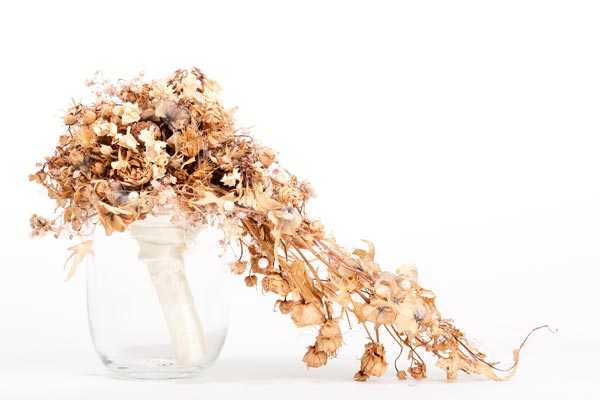 กำจัดดอกไม้หลังงานแต่ง กำจัดดอกไม้หลังงานแต่ง