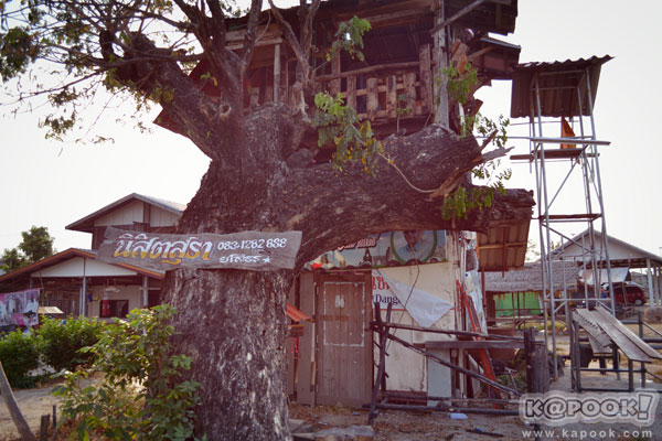 ยโสธร ยโสธร