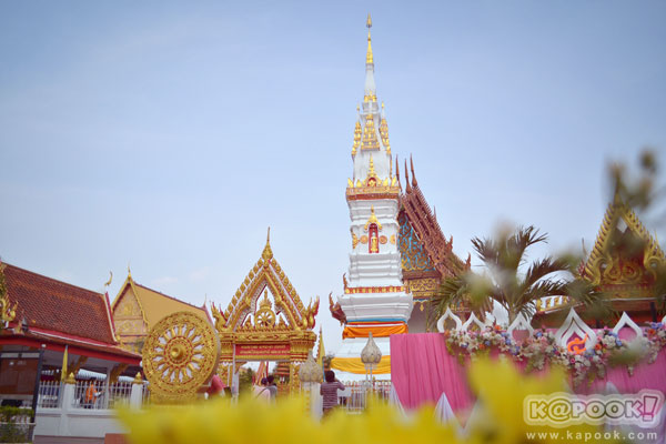 ยโสธร ยโสธร