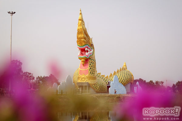 ยโสธร ยโสธร