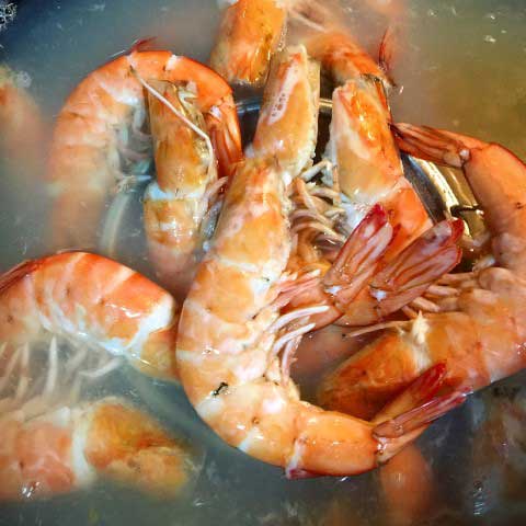 กุ้งถัง กุ้งถัง
