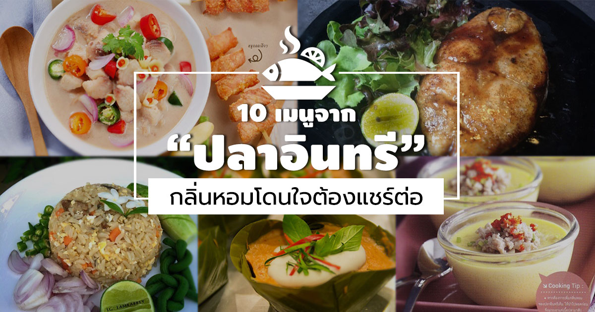 ปลาอินทรี ปลาอินทรี