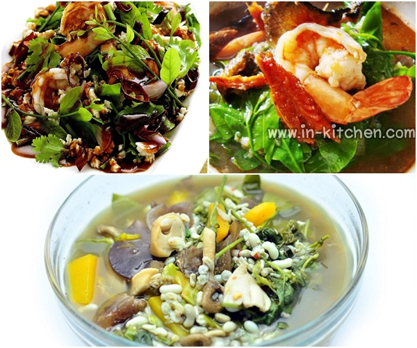 ผักหวานป่า ผักหวานป่า