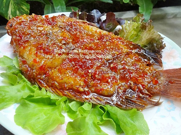 ปลาทับทิม ปลาทับทิม