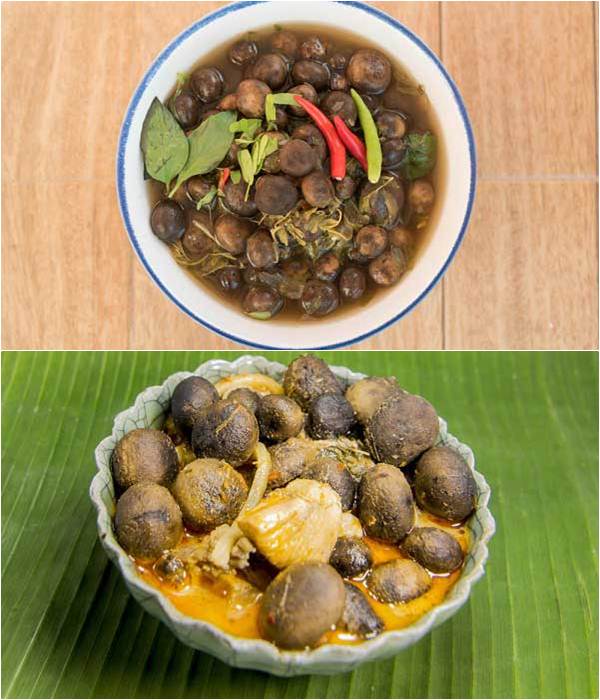 แกงเห็ดเผาะใบมะขามอ่อน แกงเห็ดเผาะใบมะขามอ่อน