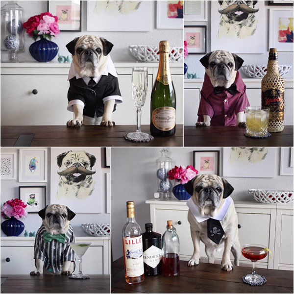 ร็อกโก้ ร็อกโก้