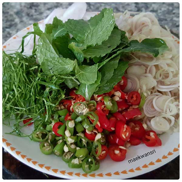 พล่าหนวดปลาหมึก พล่าหนวดปลาหมึก