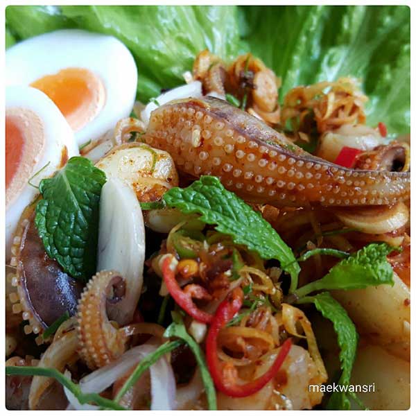 พล่าหนวดปลาหมึก พล่าหนวดปลาหมึก