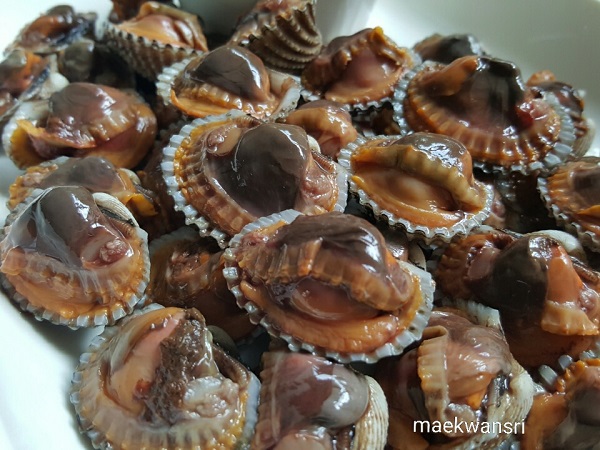 หอยแครงลวก หอยแครงลวก