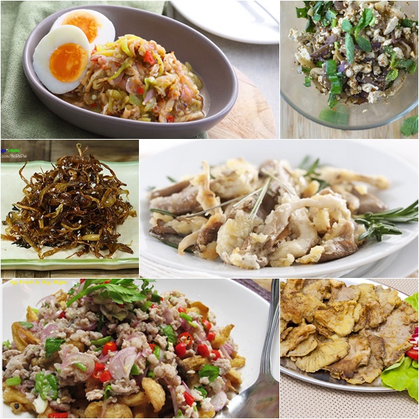 เห็ดนางฟ้า เห็ดนางฟ้า