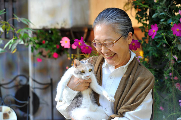 Finding Calico Finding Calico