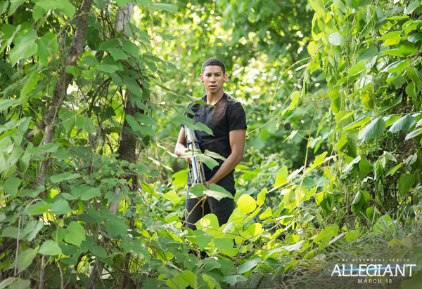 Divergent Series: Allegiant Divergent Series: Allegiant