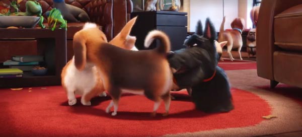 The Secret Life Of Pets The Secret Life Of Pets