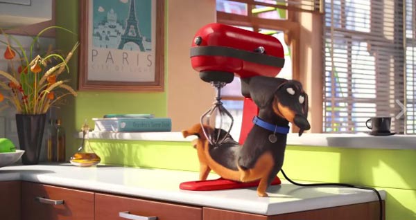 The Secret Life Of Pets The Secret Life Of Pets