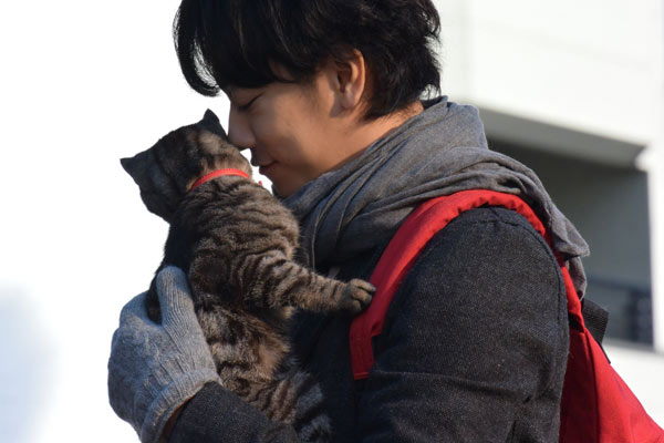 If Cats Disappeared From the World If Cats Disappeared From the World