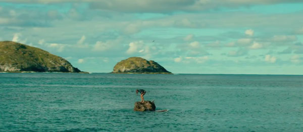 The Shallows The Shallows