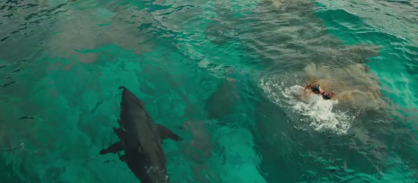The Shallows The Shallows