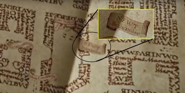 นิวท์ สคามันเดอร์ นิวท์ สคามันเดอร์