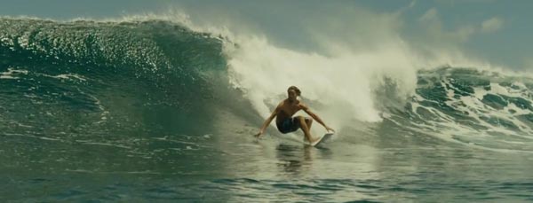 The Shallows The Shallows