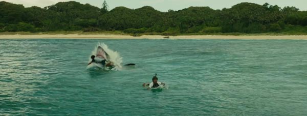 The Shallows The Shallows