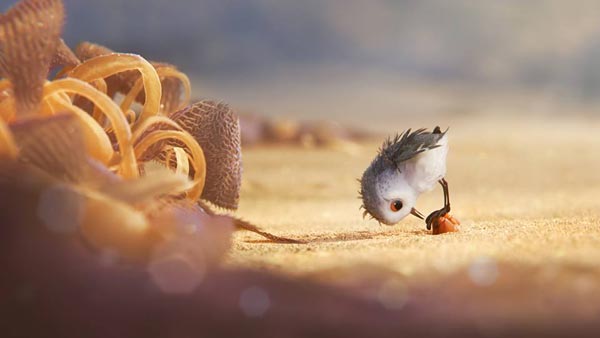 Piper Piper