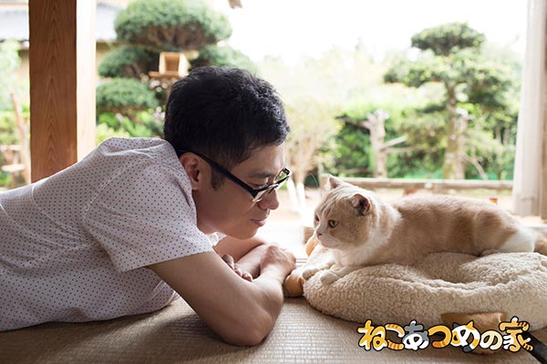 Neko Atsum Neko Atsum