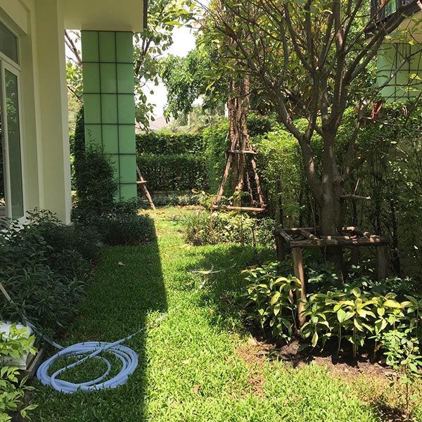 บ้าน ปีโป้ บ้าน ปีโป้