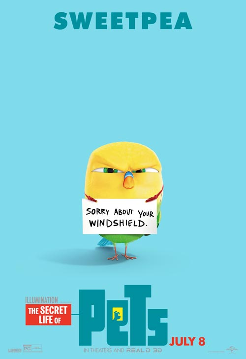 The Secret Life Of Pets The Secret Life Of Pets