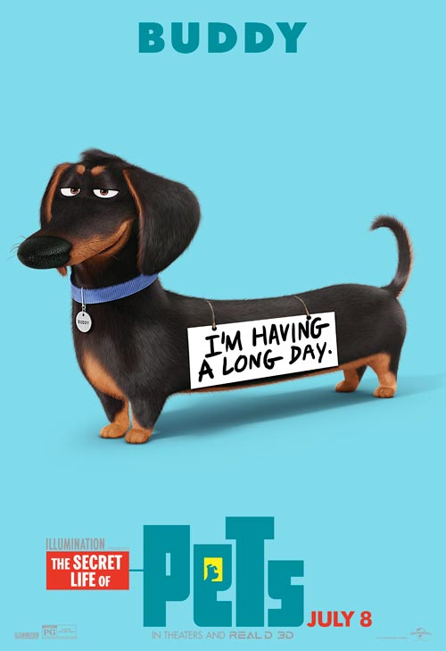 The Secret Life Of Pets The Secret Life Of Pets