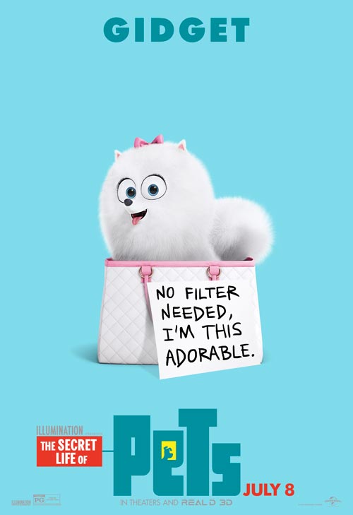 The Secret Life Of Pets The Secret Life Of Pets