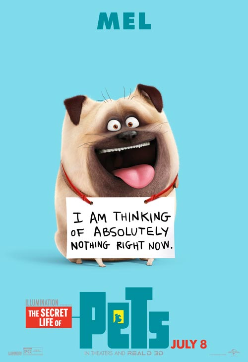 The Secret Life Of Pets The Secret Life Of Pets