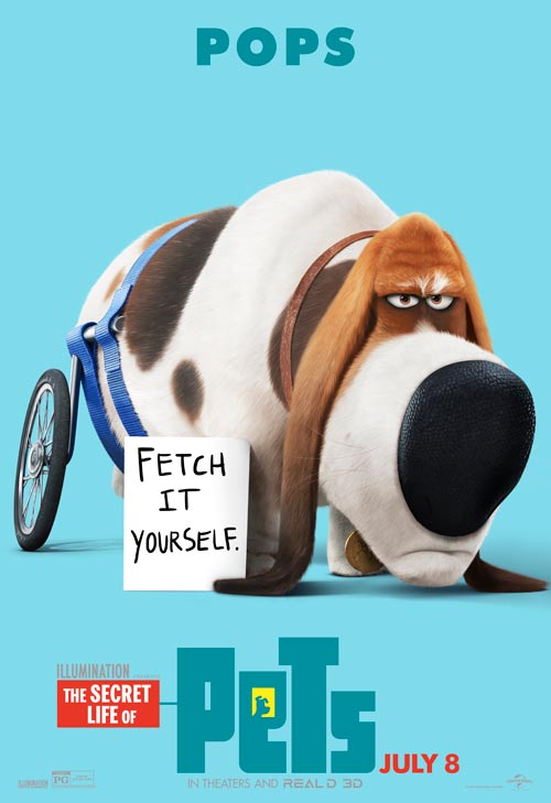 The Secret Life Of Pets The Secret Life Of Pets