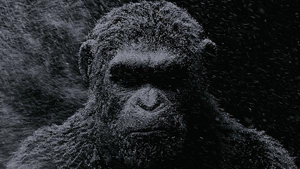 war for the planet of the apes war for the planet of the apes