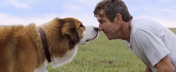 A Dog\'s Purpose A Dog\'s Purpose