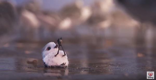 Piper Piper