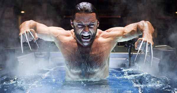 Wolverine 3 Wolverine 3