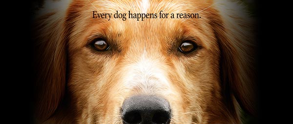 A Dog\'s Purpose A Dog\'s Purpose