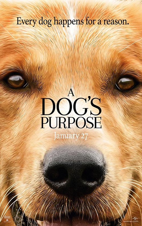 A Dog\'s Purpose A Dog\'s Purpose