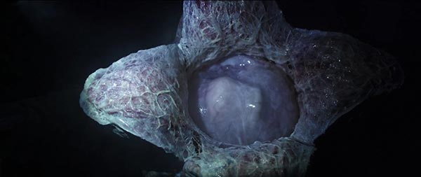 Alien: Covenant Alien: Covenant