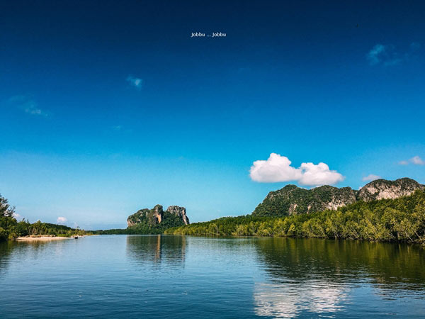 เกาะรอก เกาะรอก