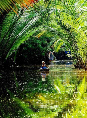 ในบาง ในบาง