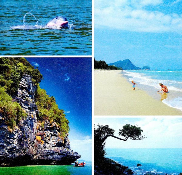 ขนอม ขนอม